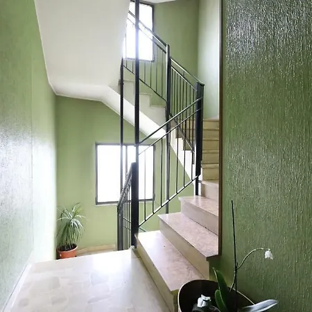 Merula Dream House